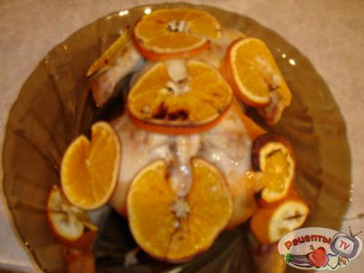 �����������-������� �������