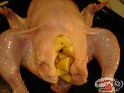 �����������-������� �������