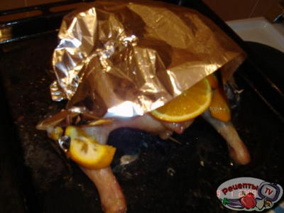 �����������-������� �������