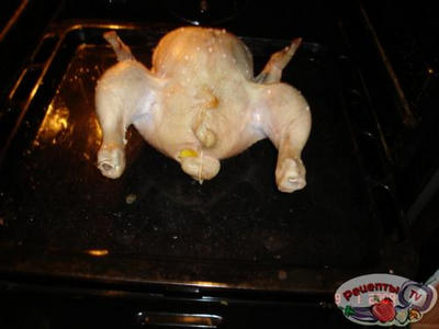 �����������-������� �������