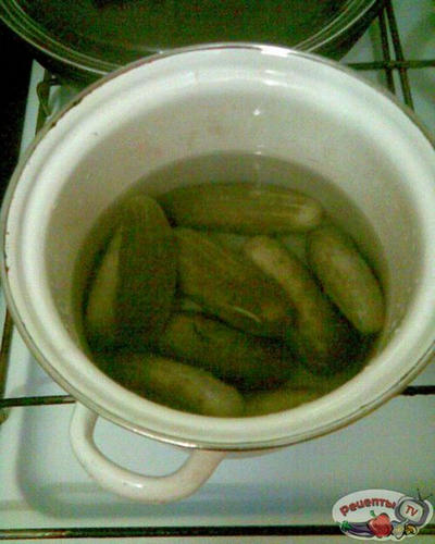 ��� ( ����� �� �������� )