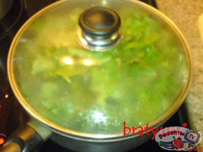 ����� �� �������� ������, ��-�������� Rumex obtusifolius, � �����!