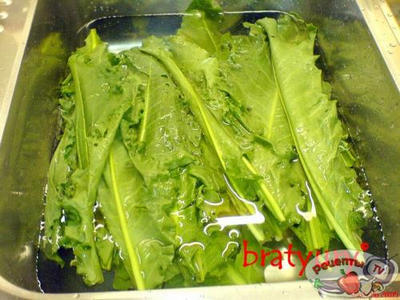 ����� �� �������� ������, ��-�������� Rumex obtusifolius, � �����!