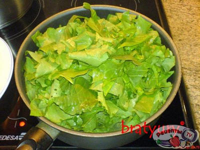 ����� �� �������� ������, ��-�������� Rumex obtusifolius, � �����!