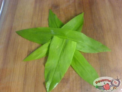 ��� ���� � ��˨��� �������!