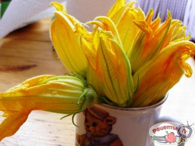 ������ ������ � ����� /����� ���� �� ����������� �����/