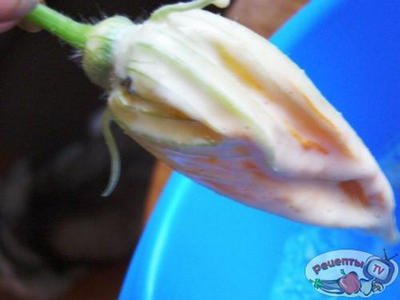 ������ ������ � ����� /����� ���� �� ����������� �����/