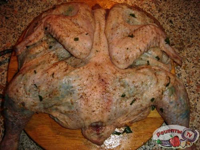 ��������-������ ��������