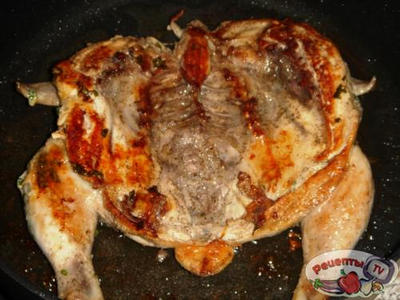 ��������-������ ��������