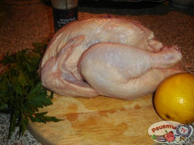 ��������-������ ��������