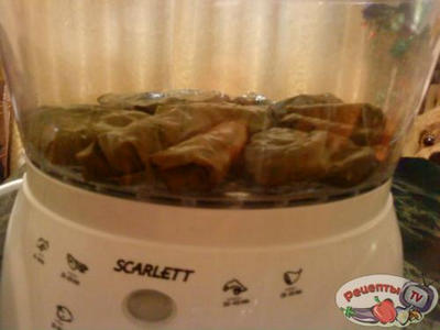 Долма на пару(вариант 1 из 100) Долма на пару(вариант 1 из 100)