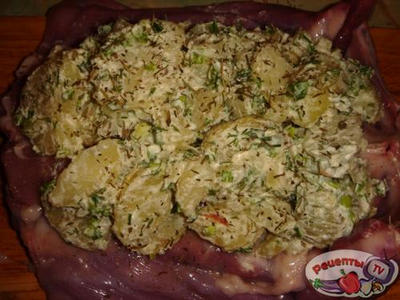 ������������� ����� �������