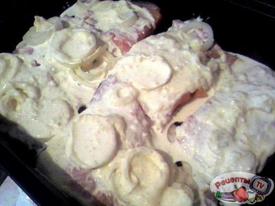 ���� ������� �� ��������