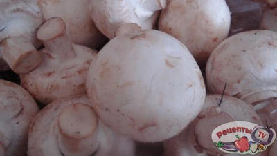 ����������� ����� - ����� �� �������!