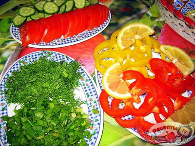 ������ ���������