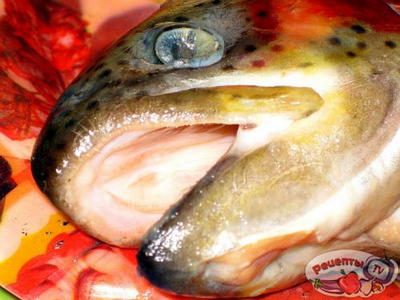 ������ ���������