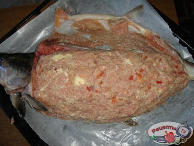 ������� ��-����������