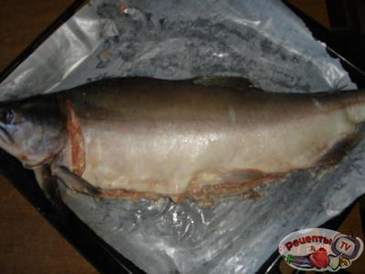 ������� ��-����������