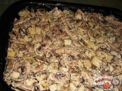 �������� ��� ������� �������))