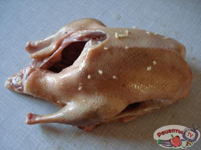 ���� �������������� - �������