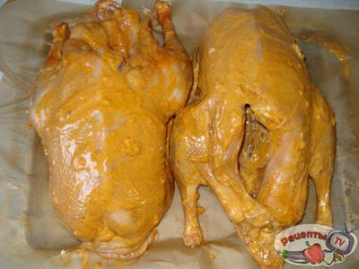 ���� �������������� - �������