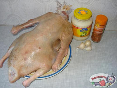 ���� �������������� - �������