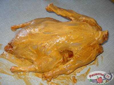 ���� �������������� - �������