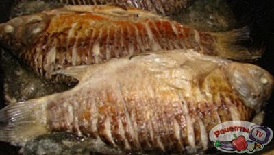 ������ � �������