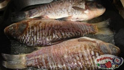 ������ � �������