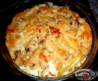 ������������ ���������