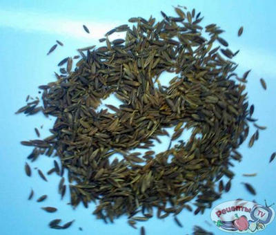 �����-�����