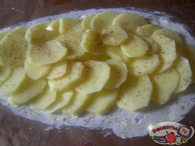 ������ ���������