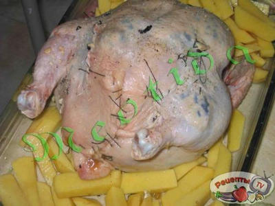 �������� � ������� ���������