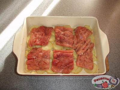 ������� ���� ����������