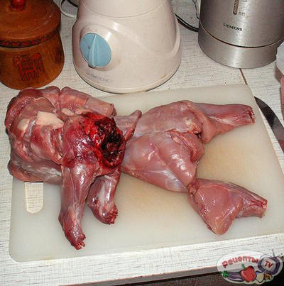 ������ ��-�����������