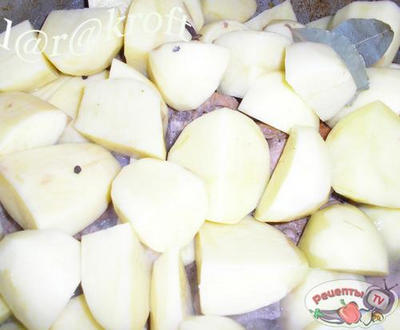 ������ � ���������� � ��������