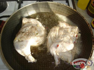 ����-���-��-������