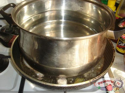 ����-���-��-������