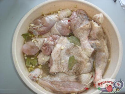 ����-���-��-������