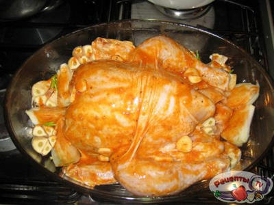 ���� ��-��������