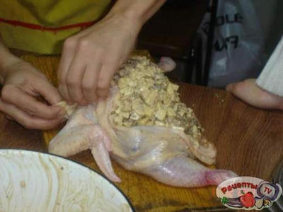 ������ �������������