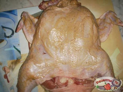 ������ �������������