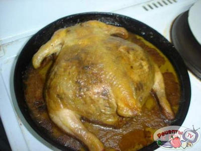 ������ �������������