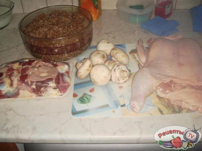 ������ �������������