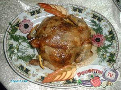 ������ �������������