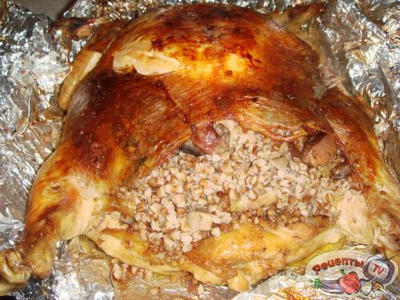 ������ �������������