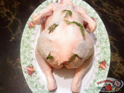 ������ ������������� ����� � ����������