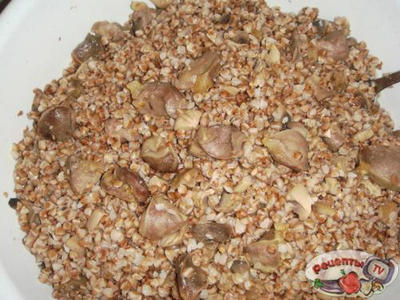 ������ �������������