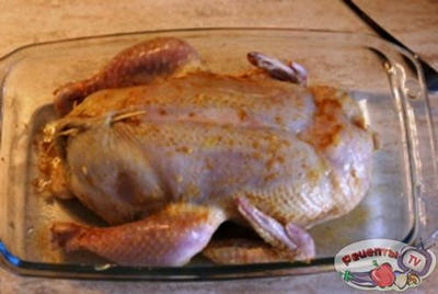 ������, ������������� ����������