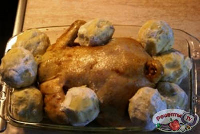 ������, ������������� ����������